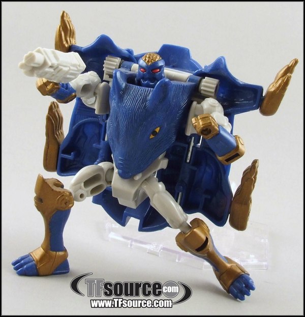BotCon 2015 Maximal Thief Packrat Offtcial Reveal Boxed Set Figure  (3 of 8)